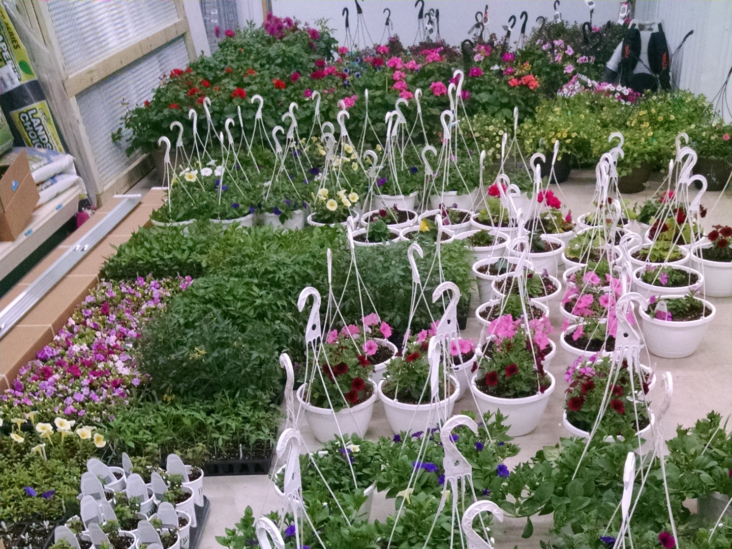 Plant Nursery, Trees & Shrubs Battle Creek, MI Battle Creek, MI