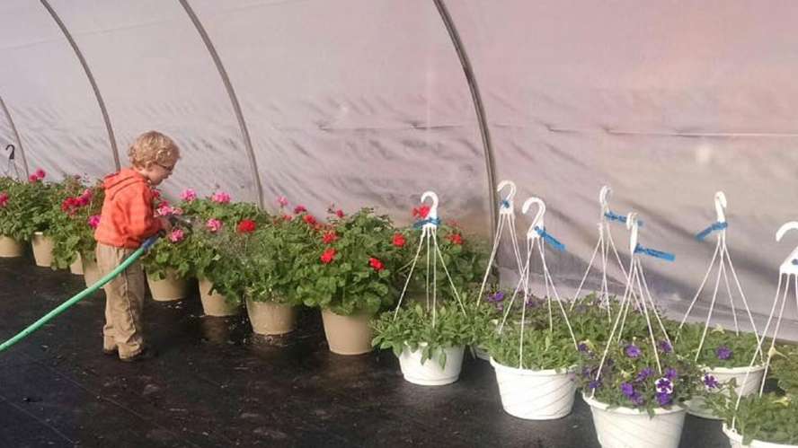 Landscape Supply Plant Nursery Farmer S Market Battle Creek Mi Landscape Supply Nursery